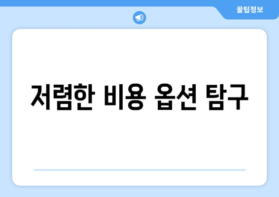 저렴한 비용 옵션 탐구