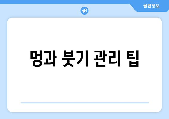 멍과 붓기 관리 팁