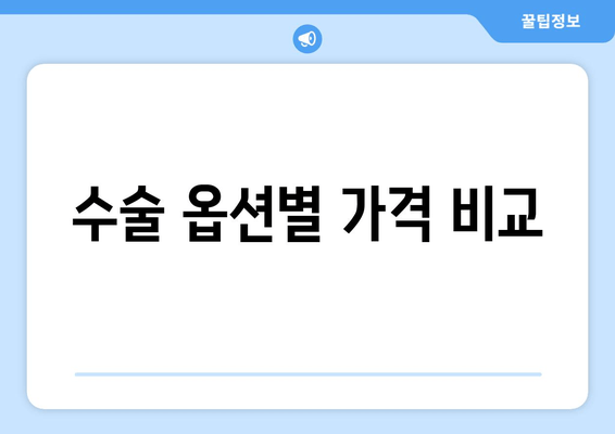 수술 옵션별 가격 비교