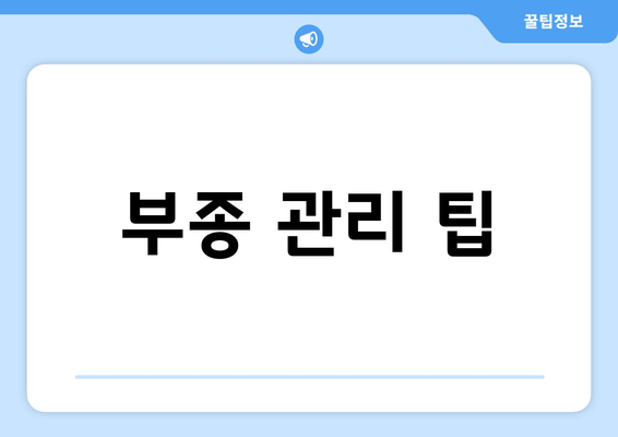 부종 관리 팁