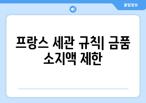 프랑스 세관 규칙| 금품 소지액 제한