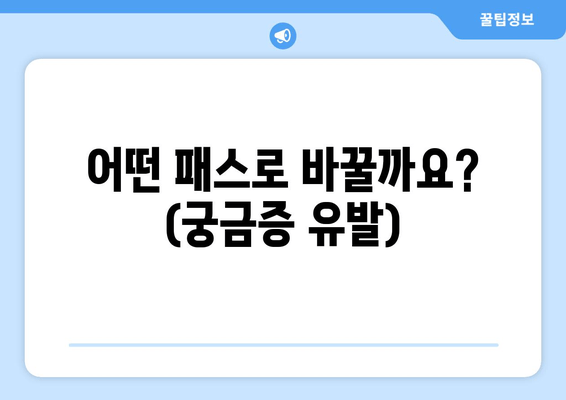 어떤 패스로 바꿀까요? (궁금증 유발)