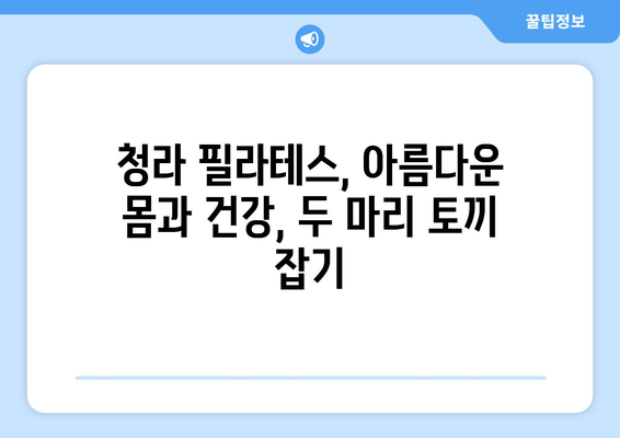 청라 필라테스에서 시작하는 나만의 자세 교정 | 바른 자세, 건강한 몸 만들기