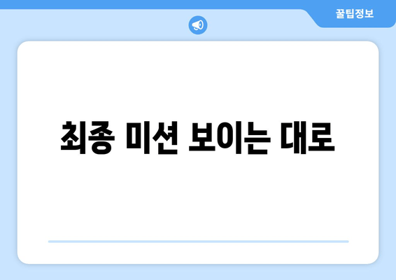 최종 미션 보이는 대로