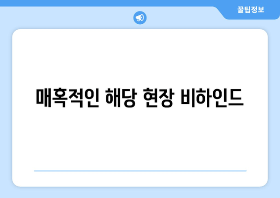 매혹적인 해당 현장 비하인드