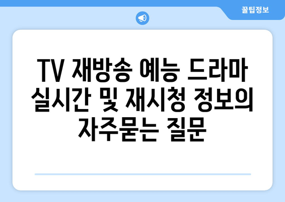 TV 재방송 예능 드라마 실시간 및 재시청 정보