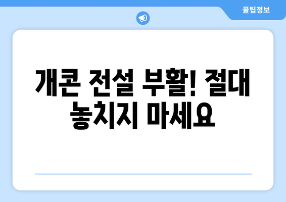 개콘 전설 부활! 절대 놓치지 마세요