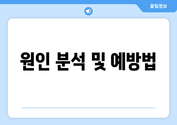 원인 분석 및 예방법
