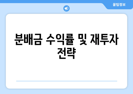 분배금 수익률 및 재투자 전략