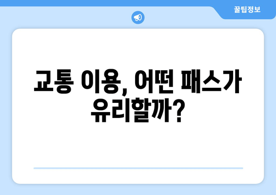 교통 이용, 어떤 패스가 유리할까?