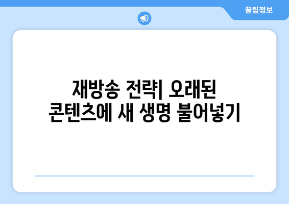 재방송 전략| 오래된 콘텐츠에 새 생명 불어넣기