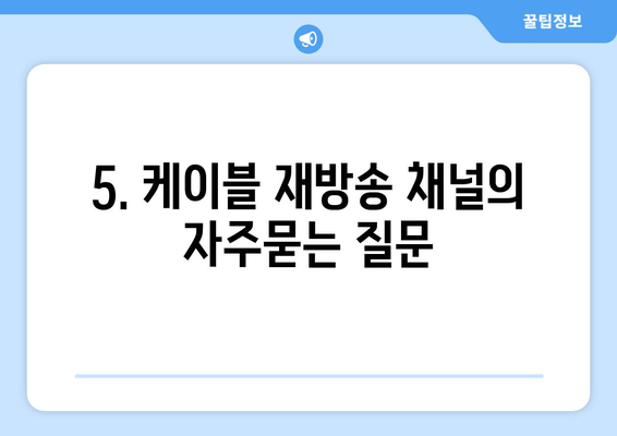 5. 케이블 재방송 채널