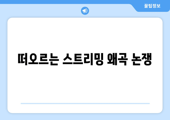 떠오르는 스트리밍 왜곡 논쟁