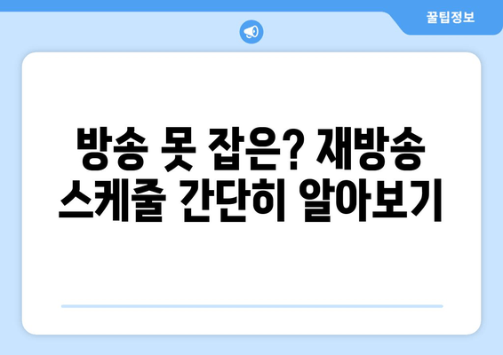 방송 못 잡은? 재방송 스케줄 간단히 알아보기