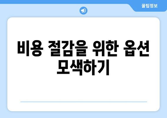 비용 절감을 위한 옵션 모색하기