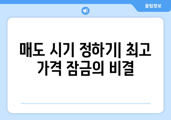 매도 시기 정하기| 최고 가격 잠금의 비결