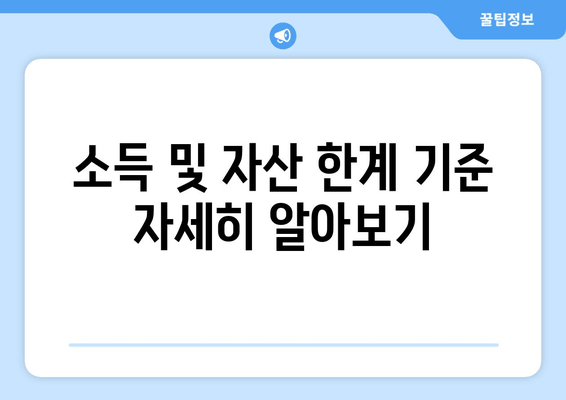 소득 및 자산 한계 기준 자세히 알아보기