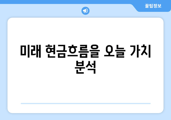 미래 현금흐름을 오늘 가치 분석