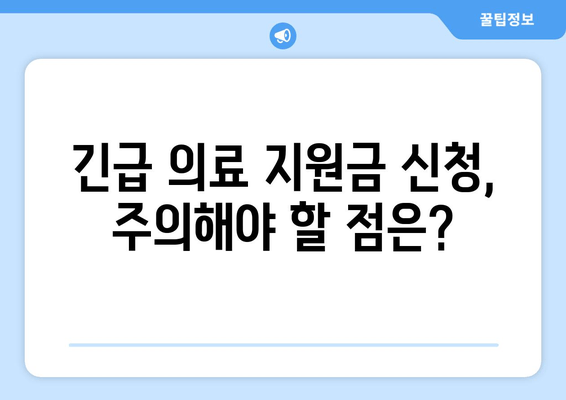 긴급 의료 지원금 신청 완벽 가이드| 자격 조건부터 절차까지 |  지원 대상, 필요 서류, 주의 사항