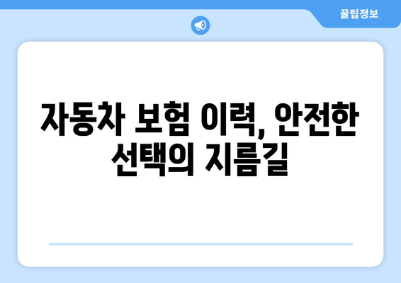 자동차 보험 이력 확인으로 약속 충실한 차량 확보| 안전하고 신뢰할 수 있는 차량 선택 가이드 | 자동차 구매, 안전, 신뢰, 보험 이력, 차량 정보 확인