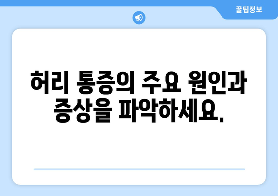 허리 통증, 자세 교정부터 재활까지| 완벽 가이드 | 허리 통증, 자세, 재활, 운동, 스트레칭, 예방