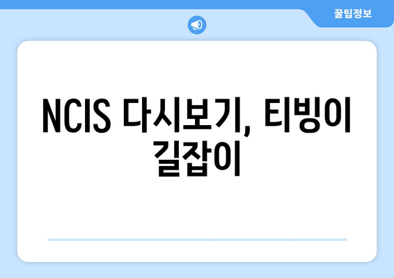 NCIS 다시보기, 티빙이 길잡이