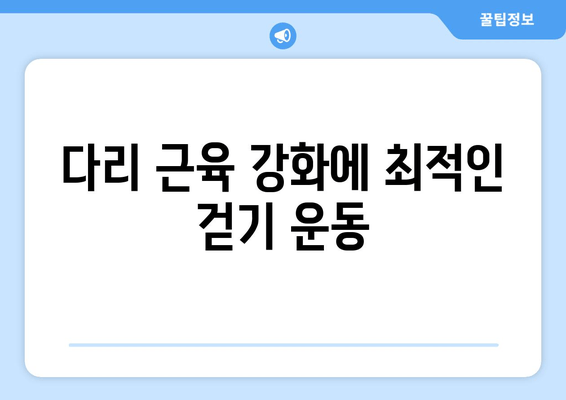 걷기 유형별 근육 발달 가이드| 어떤 걷기가 당신의 목표에 최적일까? | 근육 성장, 걷기 운동, 운동 루틴