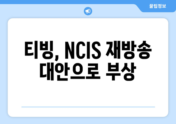 티빙, NCIS 재방송 대안으로 부상