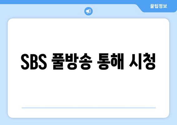 SBS 풀방송 통해 시청