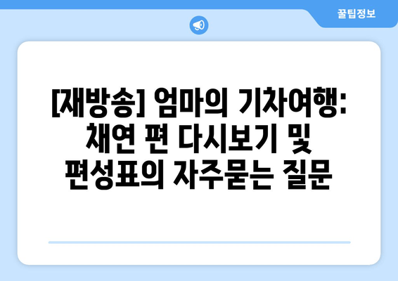 [재방송] 엄마의 기차여행: 채연 편 다시보기 및 편성표