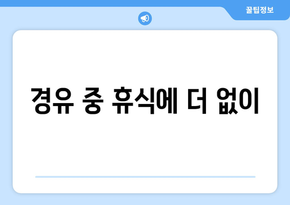 경유 중 휴식에 더 없이