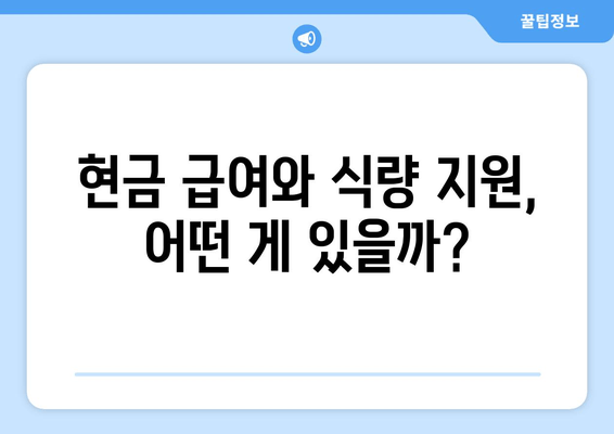 현금 급여와 식량 지원, 어떤 게 있을까?