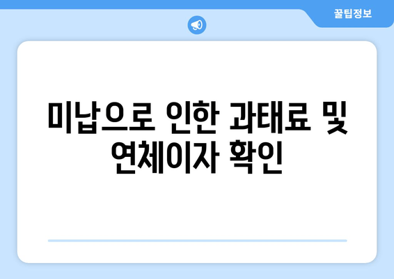 미납으로 인한 과태료 및 연체이자 확인