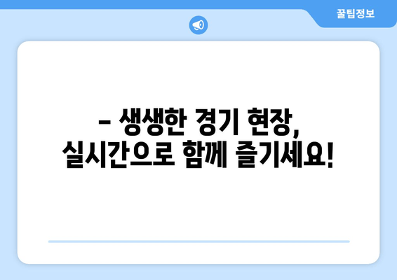 대한민국 vs 카메룬, 9월 평가전 생중계 | 축구 국가대표팀 경기 실시간 시청 팁