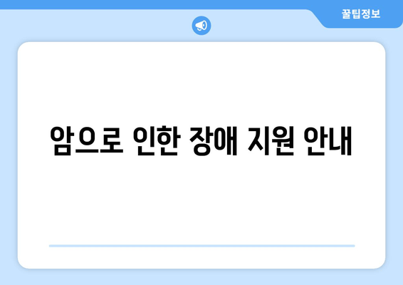 암으로 인한 장애 지원 안내