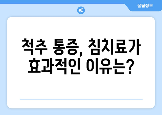 척추와 자세 교정, 한의원 치료가 답일까요? | 척추 건강, 자세 개선, 한의학, 추나요법, 침치료