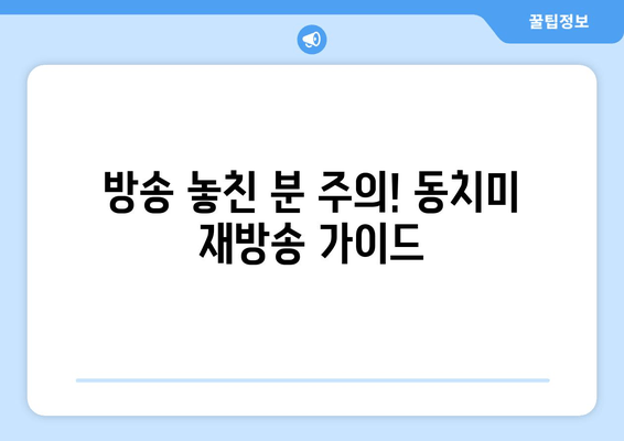 방송 놓친 분 주의! 동치미 재방송 가이드