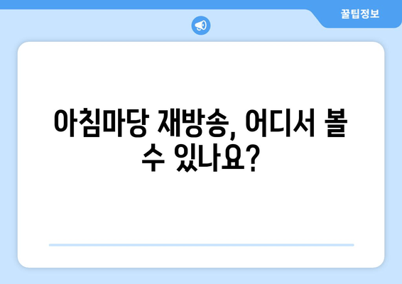 아침마당 재방송, 어디서 볼 수 있나요?