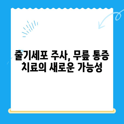 무릎 통증 악화, 줄기세포 주사로 막을 수 있을까요? | 무릎 통증, 줄기세포 치료, 효능, 부작용