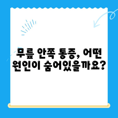 무릎 안쪽 통증, 왜 생길까? 원인과 관리법 총정리 | 무릎 통증, 내측 통증, 운동, 치료, 예방