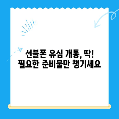 선불폰 유심 개통, 준비물부터 접수까지 한번에! | 선불폰, 유심, 개통, 준비물, 방법, 요약