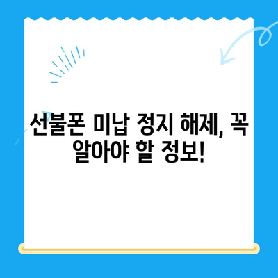 선불폰 미납 정지 후 핸드폰 개통, 재개통까지 완벽 가이드 | 선불폰, 미납, 정지, 해지, 개통, 재개통