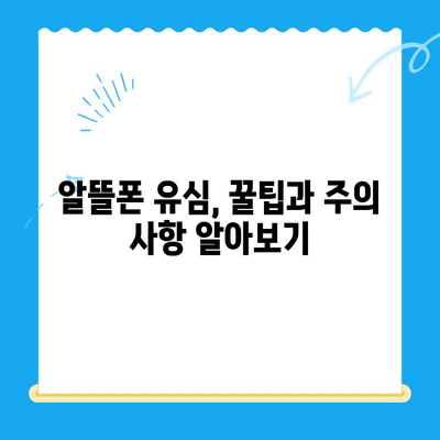 알뜰폰 유심, 즉시 개통 완료! 간편 가이드 | 알뜰폰 유심, 개통 방법, 유심 개통, 알뜰폰 비교