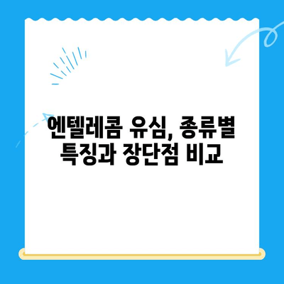 창원 선불폰 개통 & 엔텔레콤 유심 완벽 가이드 |  선불폰 개통 절차, 요금제 비교, 유심 정보