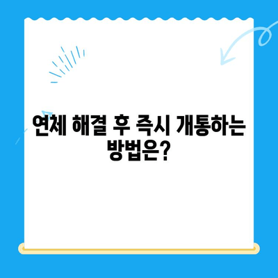 구로 선불폰 연체, 셀프 개통 가능할까요? | 연체 해결, 즉시 개통 방법, 유의 사항