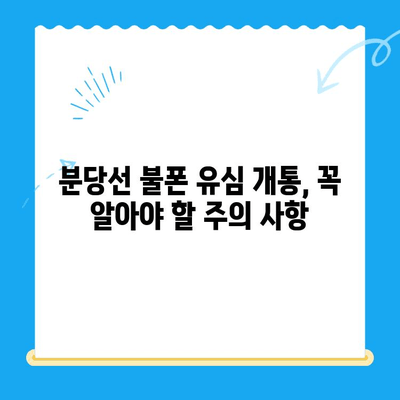 분당선불폰 유심 개통 & 사용 가이드| 단계별 설명 및 주의 사항 | 분당선, 불폰, 유심, 개통, 사용