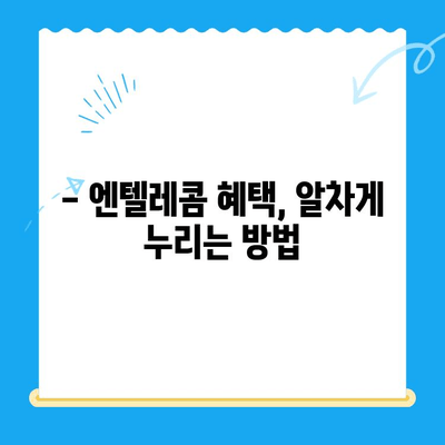 엔텔레콤 요금제 종류별 비교 & 셀프 개통 가이드 | 통신비 절약, 혜택, 인터넷 결합 상품