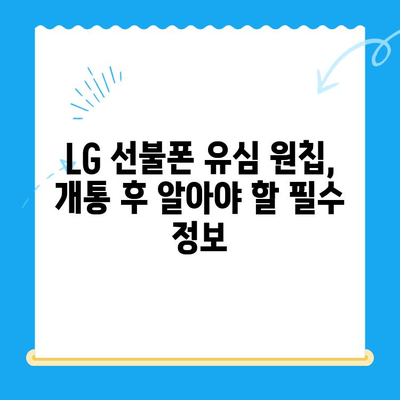 LG 선불폰 유심 원칩 개통, 이렇게 하면 끝! | 간편 가이드, 단계별 설명, 유심 정보