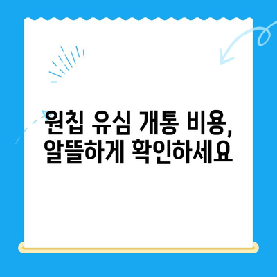 LG 선불폰 원칩 유심 개통 완벽 가이드| 비용, 절차, 주의사항 총정리 | 선불폰, 원칩 유심, 개통, 비용, 가이드