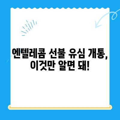 편의점에서 엔텔레콤 선불 유심 개통 & 사용 완벽 가이드 | 선불 유심, 개통 방법, 요금제, 데이터